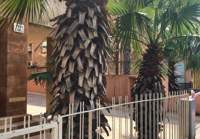 Apartment in Tel Aviv - Jaffa - MAMAD Upscale Family Home with Balcony, Parking next to Beach by FeelHome Apartment in Tel Aviv - Jaffa - MAMAD Upscale Family Home with Balcony, Parking next to Beach by FeelHome